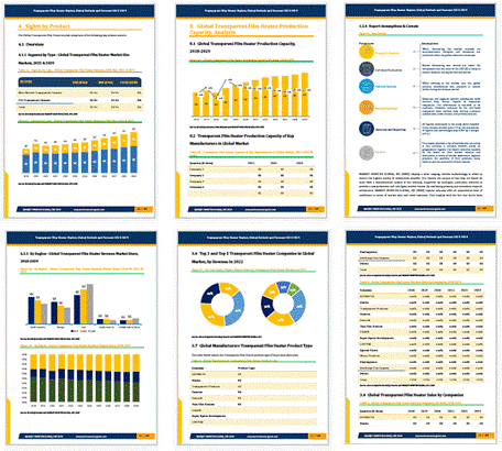 Market Monitor Global社調査レポートのイメージ